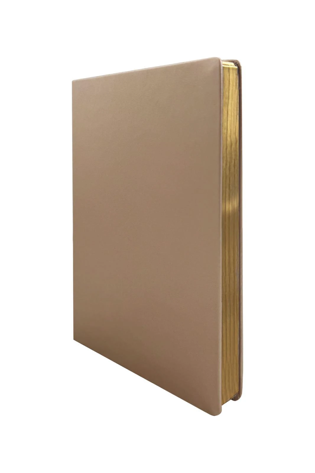 123-9100 Victoria's Journals Zipper Folder Organizer Defter 14.8x21 cm A5 Altın Noktalı Hover
