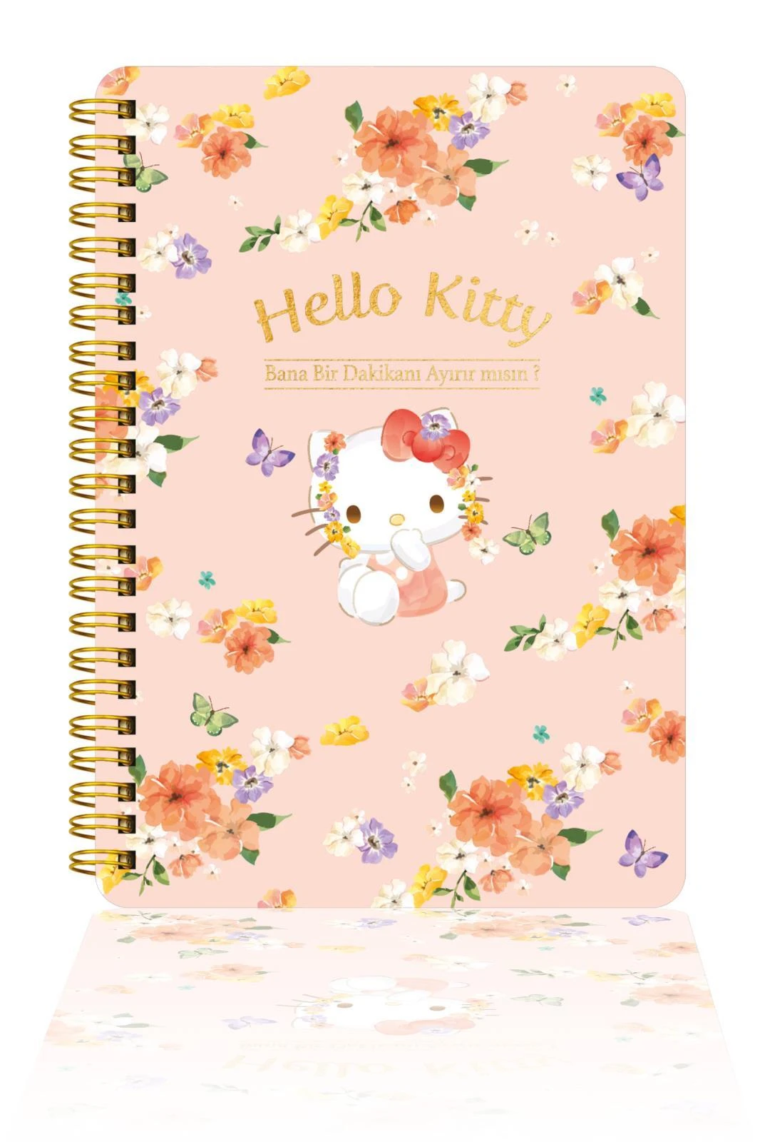 Hello Kitty Ve Arkadaşları Spiralli Günlük (JOURNAL) 14x20cm - Bana 1 Dk Ayırabilir Misin?